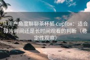 从用户角度聊聊茶杯狐 cupfox：适合碎片时间还是长时间观看的判断（稳定性观察）