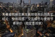 天美蜜桃麻花果冻高频使用后的真实结论：整体观感、交互细节与使用节奏评价（稳定性观察）