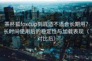 茶杯狐foxcup到底适不适合长期用？长时间使用后的稳定性与加载表现（对比后）