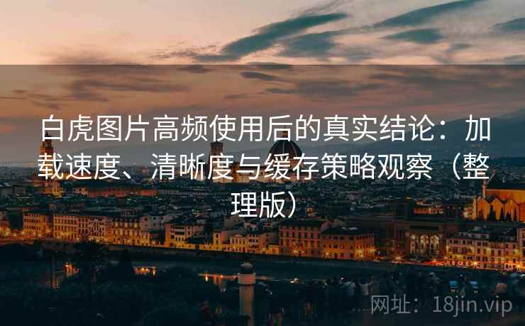 白虎图片高频使用后的真实结论：加载速度、清晰度与缓存策略观察（整理版）
