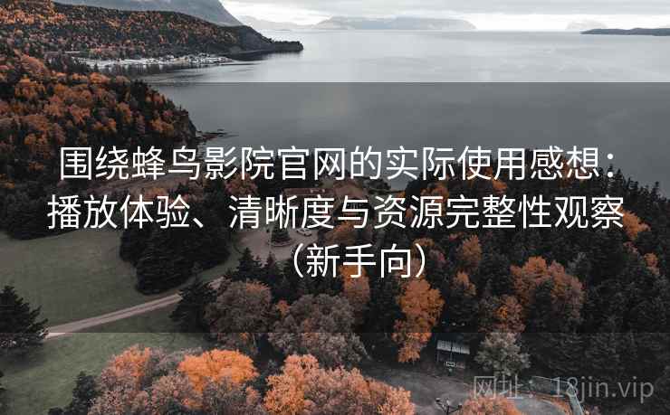 围绕蜂鸟影院官网的实际使用感想：播放体验、清晰度与资源完整性观察（新手向）