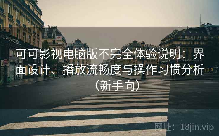 可可影视电脑版不完全体验说明：界面设计、播放流畅度与操作习惯分析（新手向）