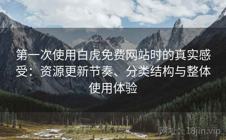 第一次使用白虎免费网站时的真实感受：资源更新节奏、分类结构与整体使用体验